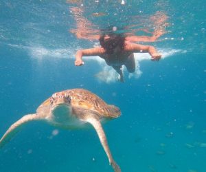 snorkel with turtles tartarugas de sao pedro sao vicente cape verde (7)
